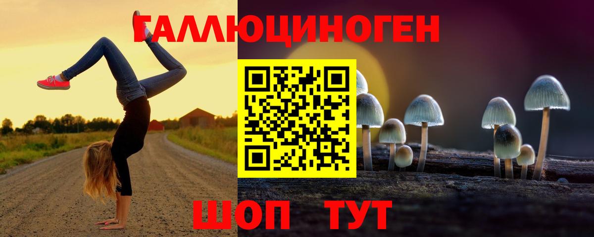 Баксан  Галлюциногенные грибы прущие грибы  где найти   Псилоцибиновые грибы GOLDEN TEACHER  Вход с VPN 